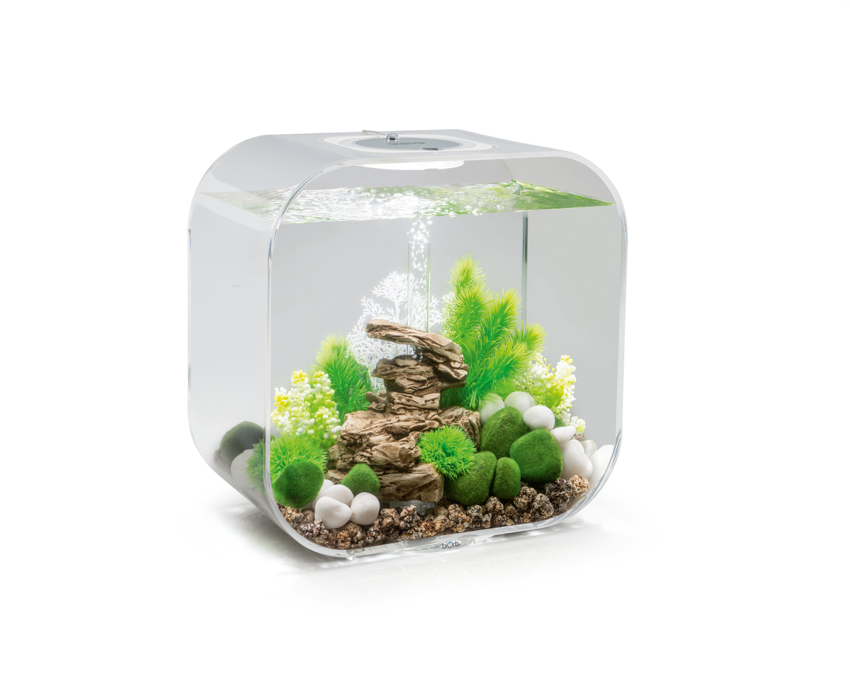 FOT_PRD_FREI_FRLI_45846-biOrb-LIFE-30MCR-Transparent-001