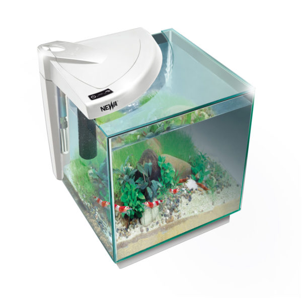 NMO20CRNE_W-600x600