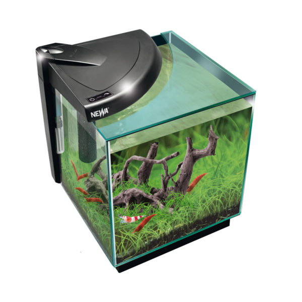 NMO20CRNE_black-600x600