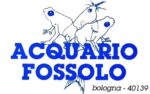Acquario Fossolo