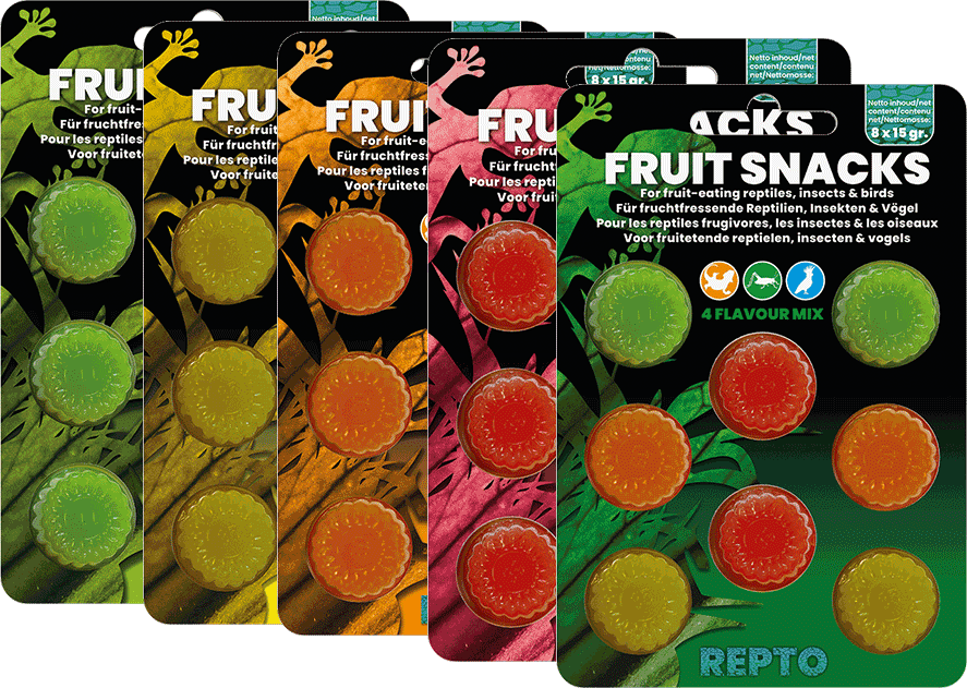 fruit-snack
