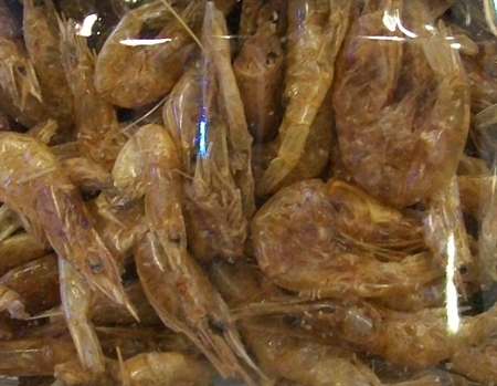 gamberetti lyo