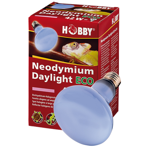 neody 28